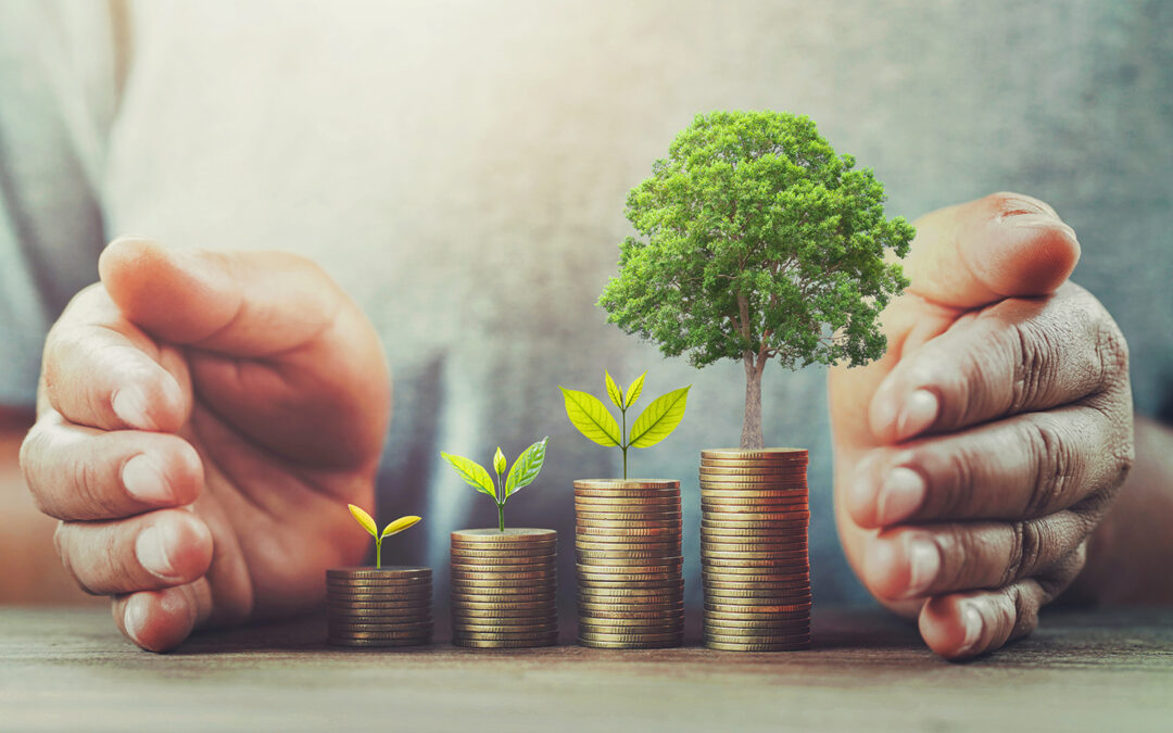 Creating a Lasting Legacy